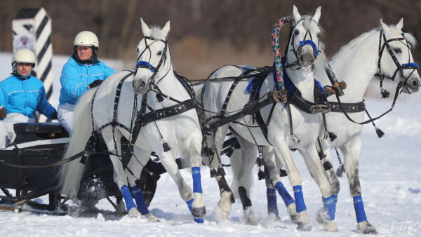 Аналіз болотних газів (Частина 3)