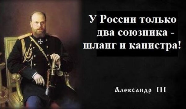 У світі тварин (Частина 2)