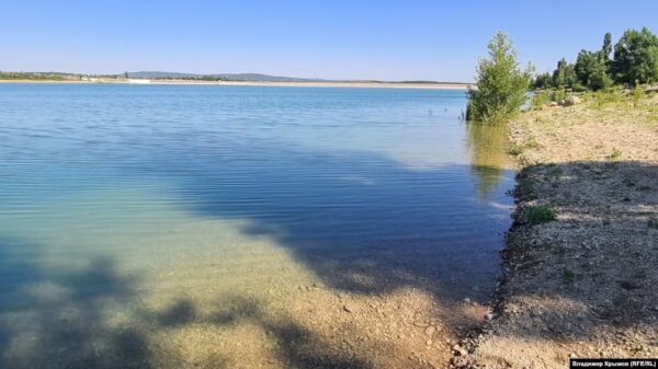 Про шептунів у курнику (Частина 2)