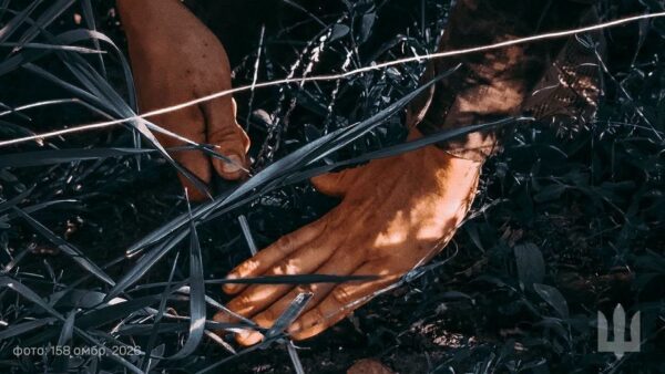 Два сюжети – одна тема (Частина 1)
