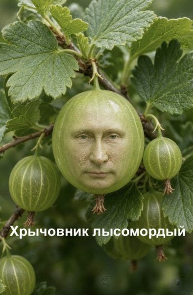 Підсумки комбінованого удару (Частина 3)