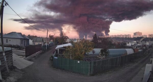 Горіла сосна, палала… (Частина 1)